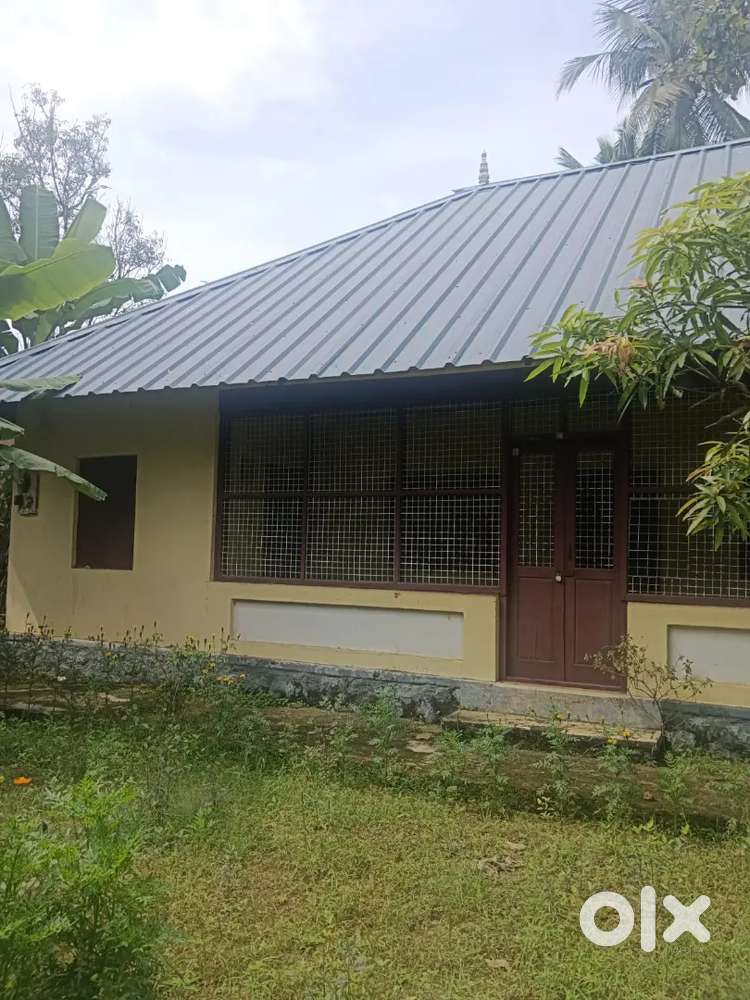 House for rent at pottayil near vilapil cooperative bank.