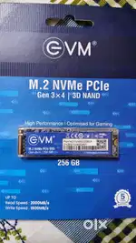 EVM, M.2 NVMe PCIe Gen3x4 256GB SSD