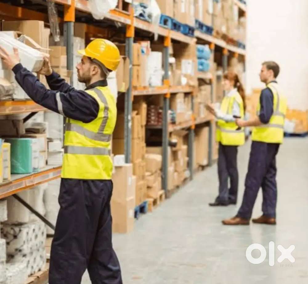 Picker packer & loader unloader @Velachery, washermenpet,chetpet,Avadi