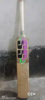 SS bat original kashmir willow 1 year old