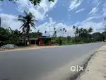 Kothamangalam onnukal commercial plot and building for sale.