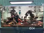 Aquariun extra clear glass for sale