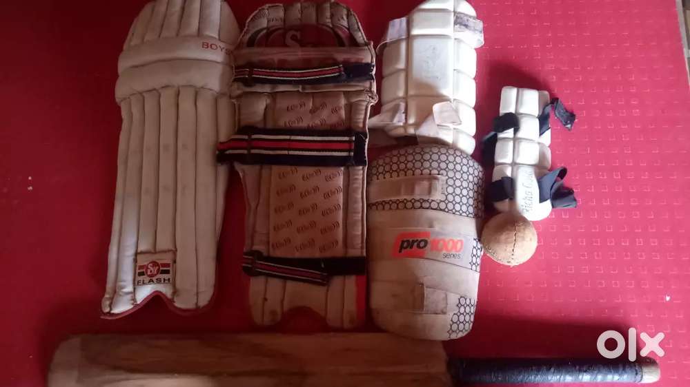 Cricket kit