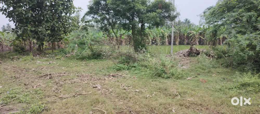 Land for sale, nearby schools, colleges, hospitals and road facility