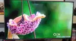 Vu smart LED tv