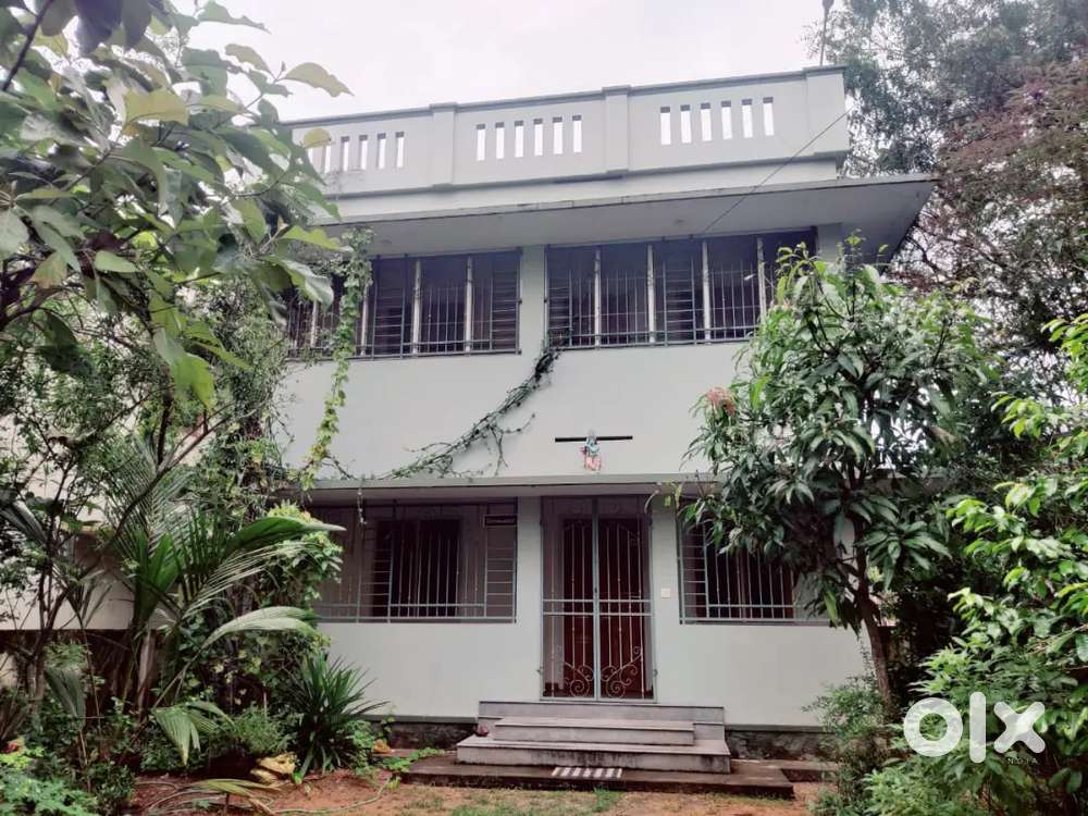 3 bhk for rent. Family and commercial purpose. Adv 60000