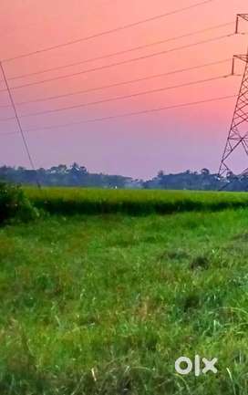Land sell at Municipality area (Tribeni Baikunthpur)