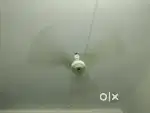 Orient ceiling used fan