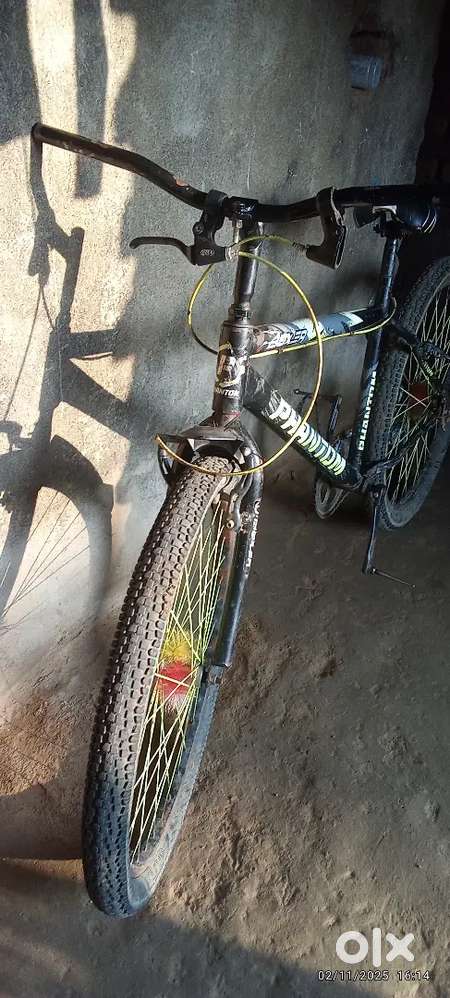 1 year old men cycle