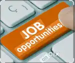 Sales executive (Only for Girl / Ladies)