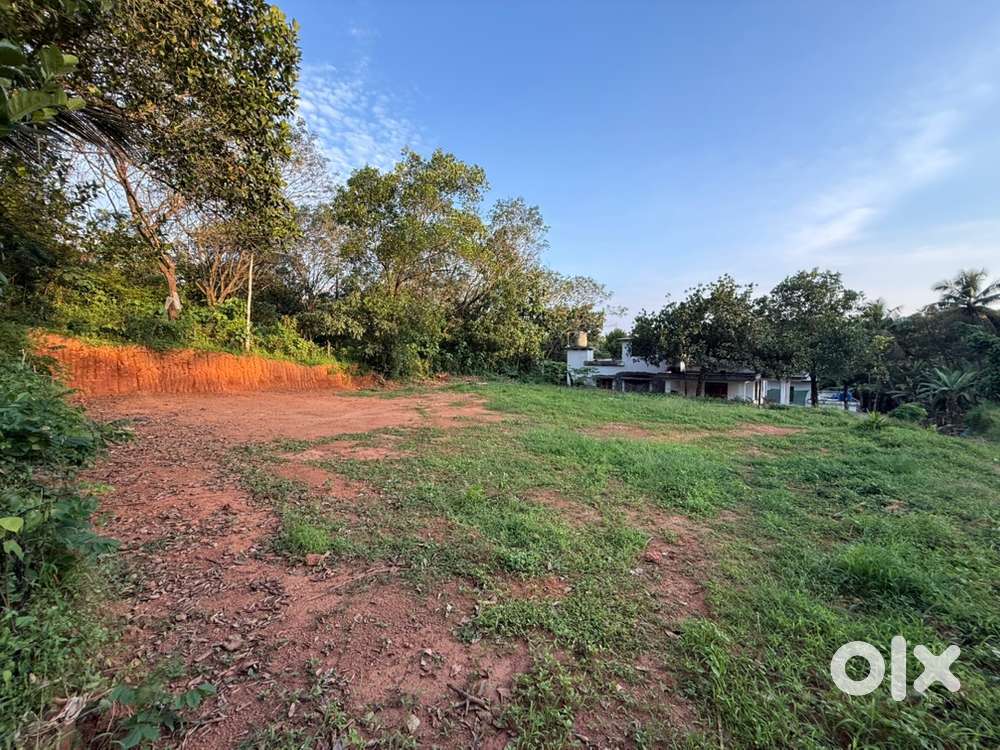 Engapuzha-near Nahdi Mandhi and Skylark Restaurant, Easy Road Access