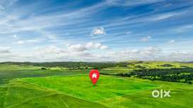 Commercial Cum Residential MIDC Plot For Sale in Boisar Tarapur MIDC