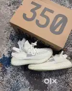 Master sneakers