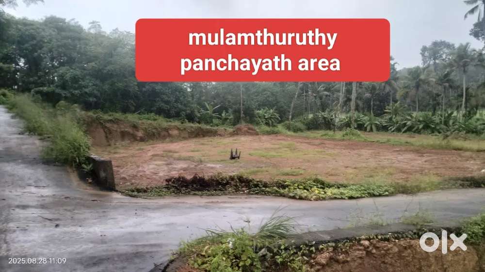 Mulamthuruthy Vettical area plot for sale