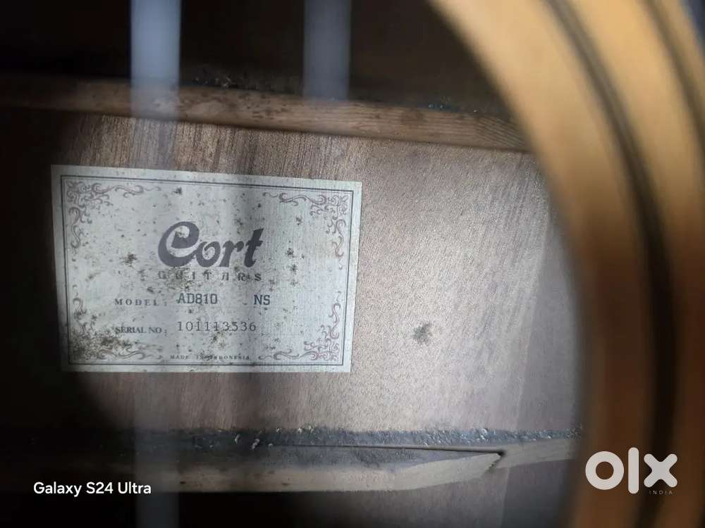 Cort AD810 guitar