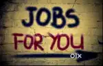 NORTH EAST JOB VACANCY