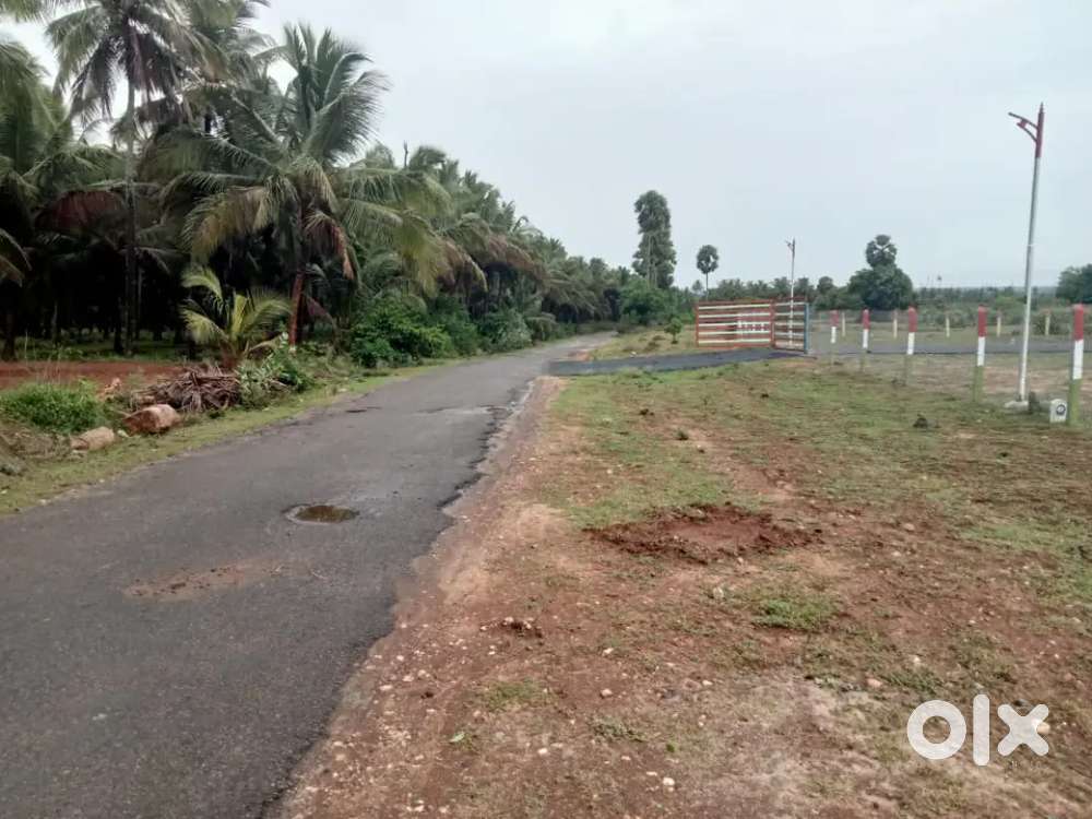 COVAI MAIN BYPASS NEAR LOW BUDGET PROJECT