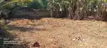 House plot for sale