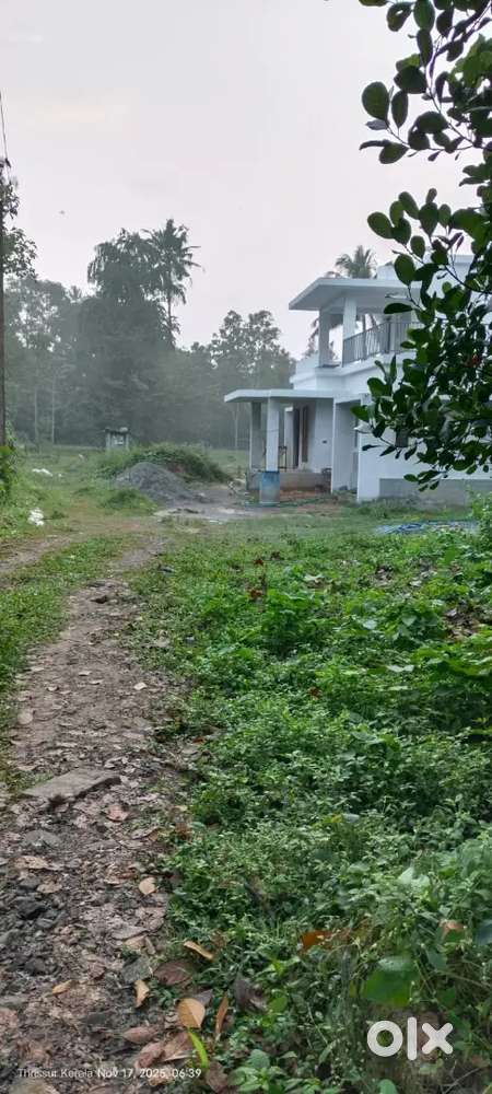 Vazhakunnu, Thanipara, 1 km from NH