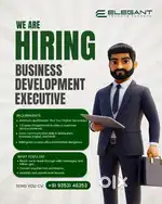 Business Development Executive