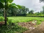 14 cents house plot - sale (Direct owner)