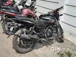 PULSAR 150 2024 MODEL