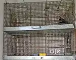 Double cage