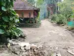 20 Cent Level Dry Land in Muttil Wayanad