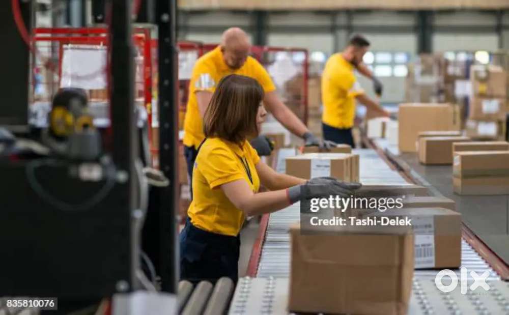 Packing and scanning urgent need male and female candidate