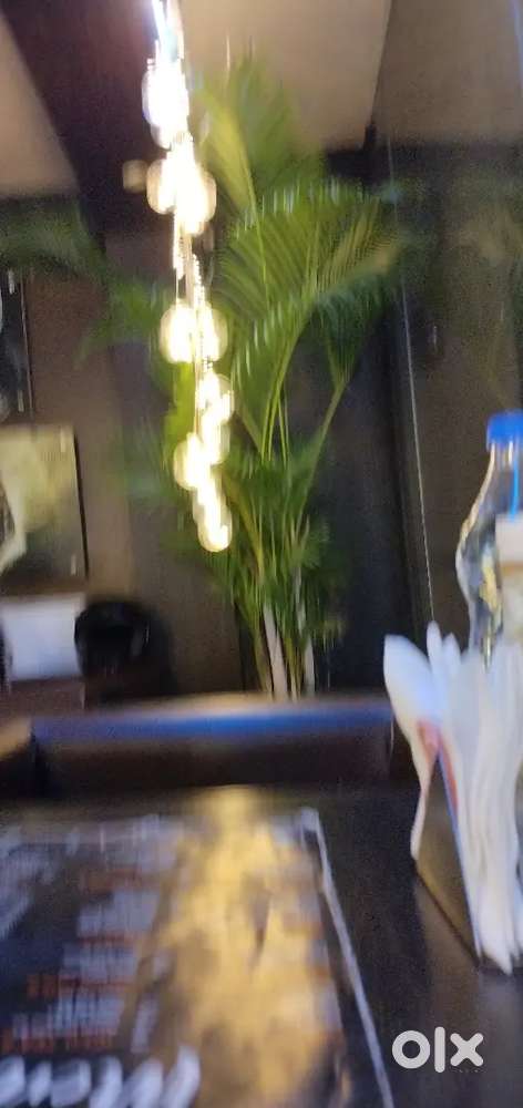 We need a service staff for coffee house restaurant,