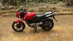 Pulsar 2013