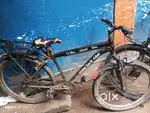 Avon cycle