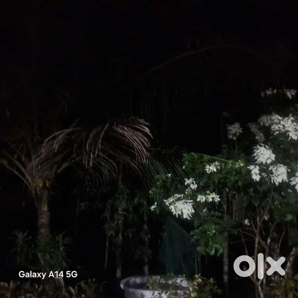 Panchayat  rod 10mettr   300meters  charch