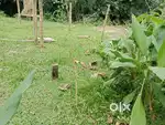 5 গন্ডা ক্ষেত জমি বিক্রয় করা হবে সূর্য মনি নগর