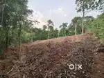 78 cent resort/house plot for sale