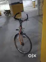 GANG CYCLE