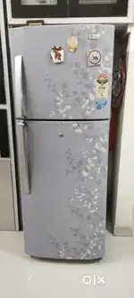 Double Fridge LG