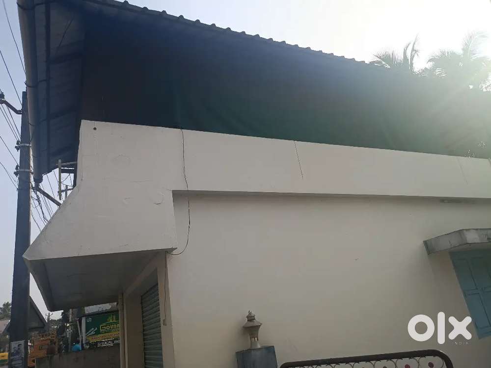 Tea master and supplier