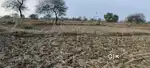Agriculture land available behind IIT Bhilai