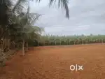 1ACER SUPER  LAND FOR SALE IN ANNUR