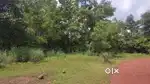 70 cent housing plot in vellora