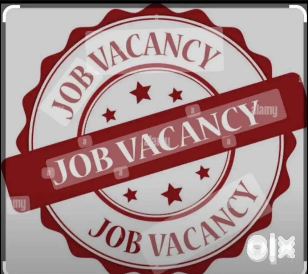 Office Assistant cum Driver