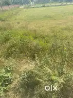SALE FOR PLOT RAJ DABAR SECTOR 35, KARNAL