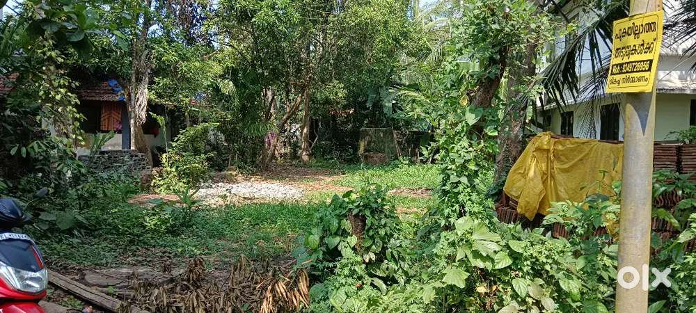 A plot for sale near  cheruvannur road side