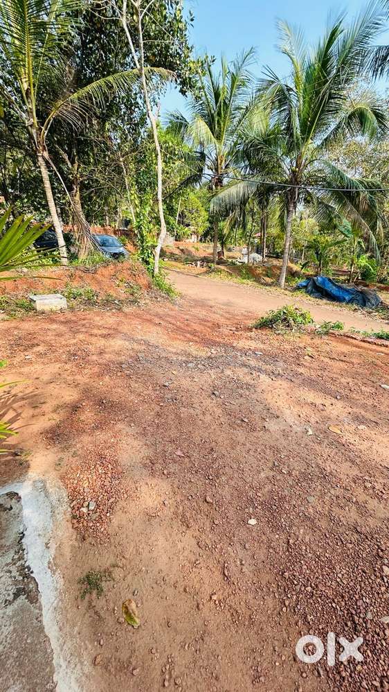 Chevarambalam 12 Cent House Plot