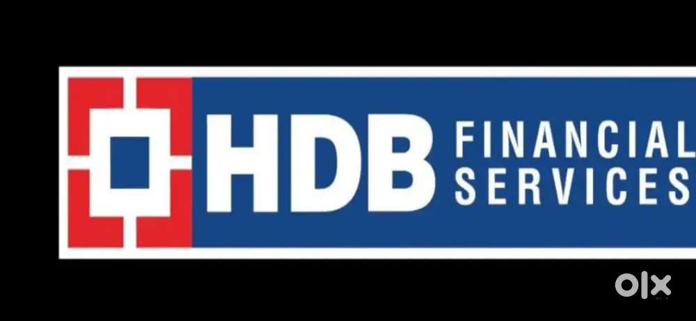 HDB FINANCIAL SERVICES LTD