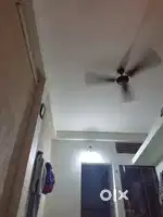 1 Rk Need Room Partner Urgent