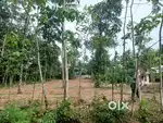 40 cent property plot wise or whole cent for selling chavarcode