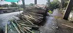 Suttaring bamboo pole