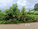 Puthuppally - Kaiteppalam - Bus Road Side - 10 Cent House Plot Sale